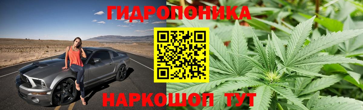 Конопля MAZAR  Каннабис тримм  Вход с VPN  Бугуруслан  Шишки марихуана планчик 